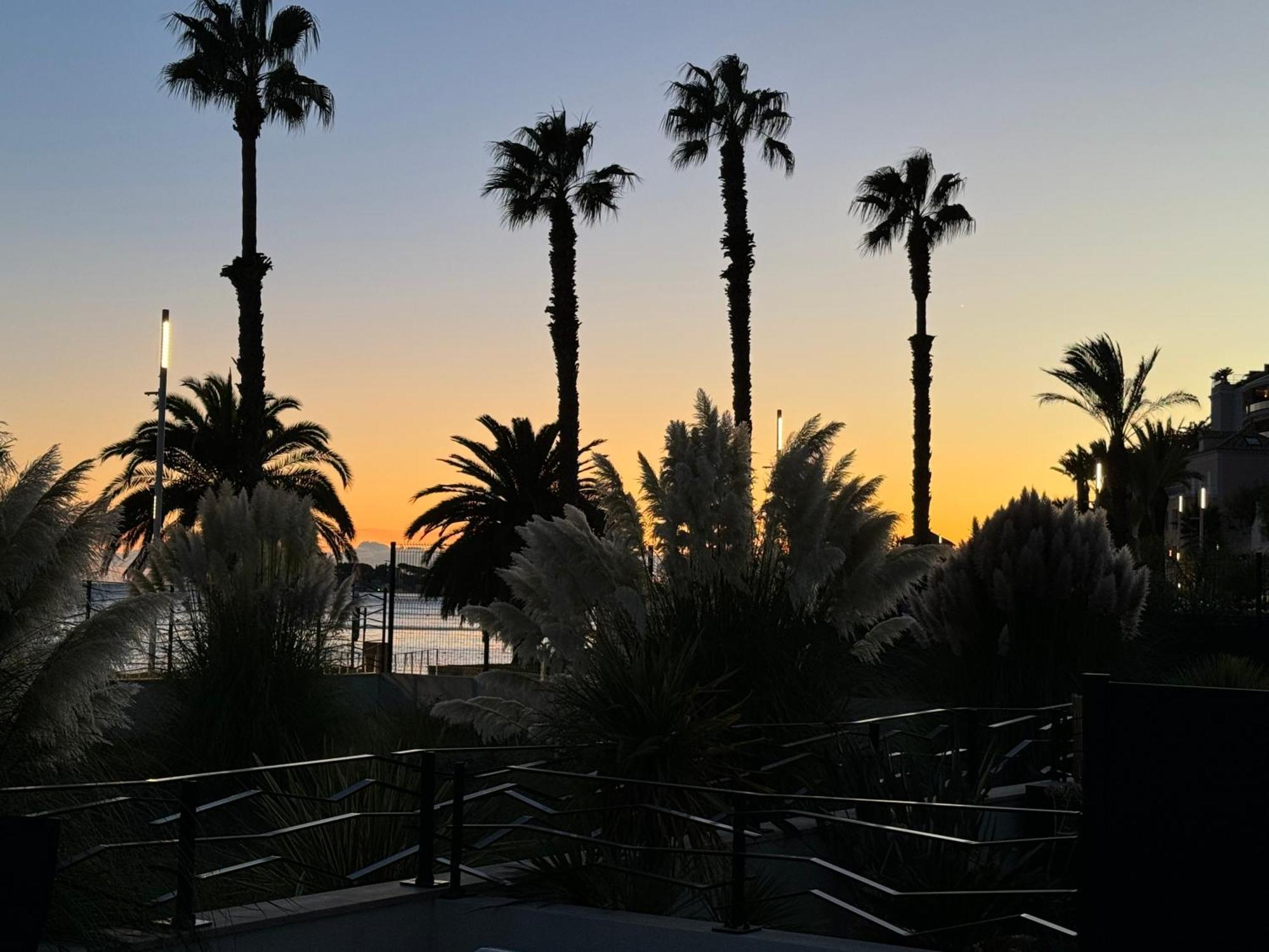 T3 Neuf Avec Terrasse Et Jardin Face A La Mer Bandol Dış mekan fotoğraf